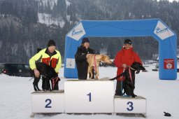 Lenk 2012 SM